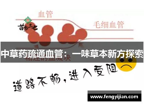 中草药疏通血管：一味草本新方探索