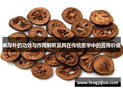 姜厚朴的功效与作用解析及其在传统医学中的应用价值