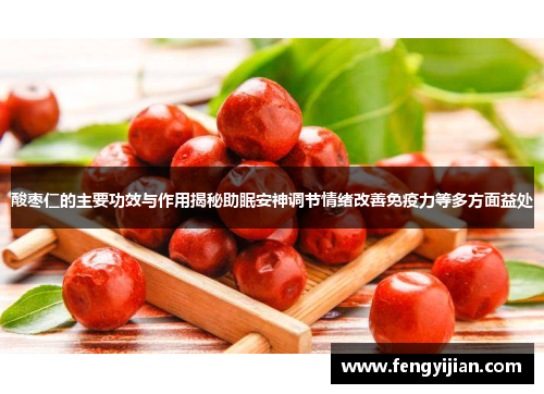 酸枣仁的主要功效与作用揭秘助眠安神调节情绪改善免疫力等多方面益处
