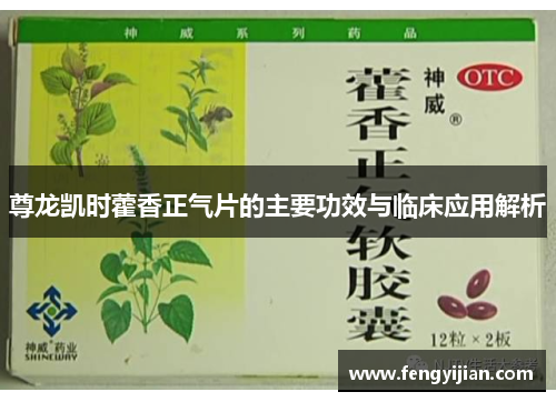 尊龙凯时藿香正气片的主要功效与临床应用解析