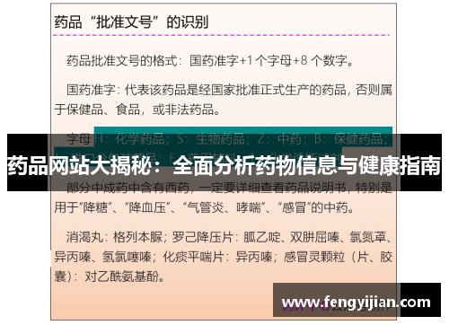 药品网站大揭秘：全面分析药物信息与健康指南